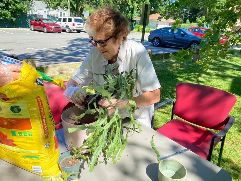 hannah repotting plant